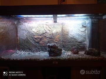acquario juwel 180 lt