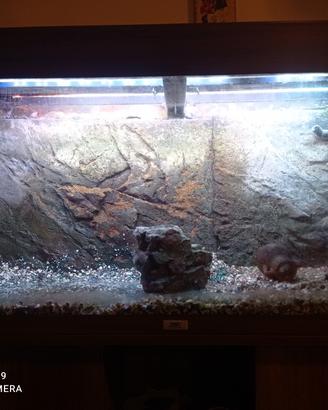 acquario juwel 180 lt