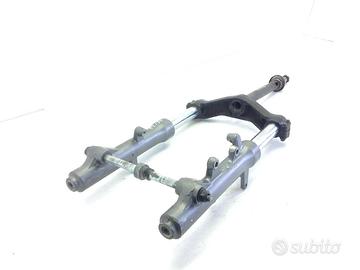 YAMAHA MAJESTY DX 250 FORCELLA - PUNTI DI RUGGINE 