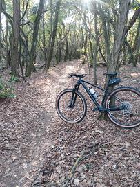 whistle Mojag front 29 in carbonio 