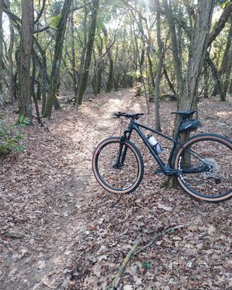 whistle Mojag front 29 in carbonio 