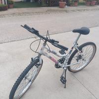 Mountain bike 