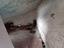 Immagine 13