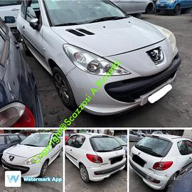 Ricambi usati Peugeot 206 Plus anno 2011 Fi