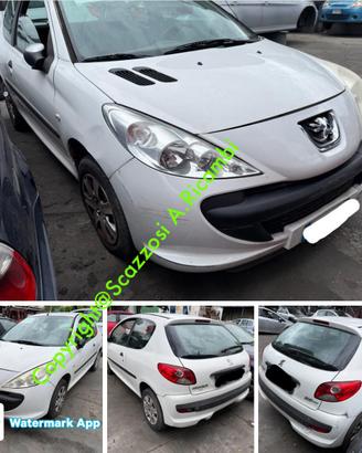 Ricambi usati Peugeot 206 Plus anno 2011 Fi
