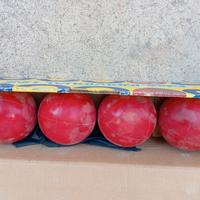 Set bocce da gara Fabra 4 pezzi più altre 4