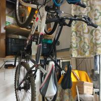 Biciclette Mountain bike