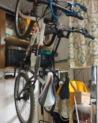 Biciclette Mountain bike