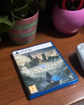 Hogwarts Legacy PS5