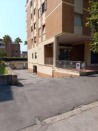 Magazzino/Deposito