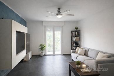 Grazioso Appartamento