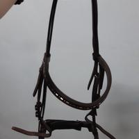 Testiera Cavalli Cob dell'Equestro 