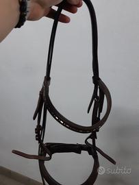 Testiera Cavalli Cob dell'Equestro 