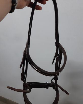Testiera Cavalli Cob dell'Equestro 