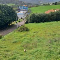 Lotti terreno edificabile