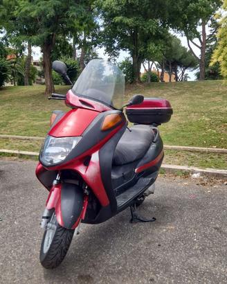 Honda Foresight 250