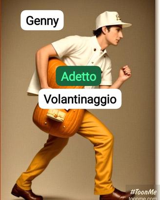 Volantinaggio