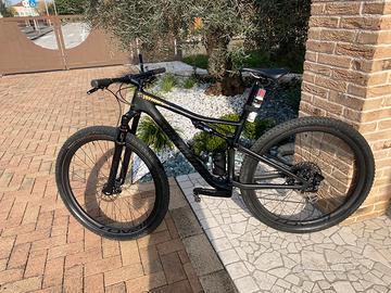 Specialized epic