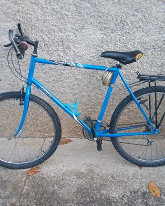 lotto 3 biciclette (BMX e MTB)