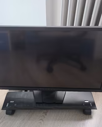 Monitor Eizo 120hz