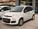 fiat-panda-1-2-easy-unico-proprietario