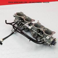 CORPOFARFALLATO CORPO HONDA CBR 954 RR 2002 2003