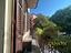 Immagine 26