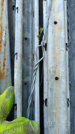 Pali per vigneto zincati