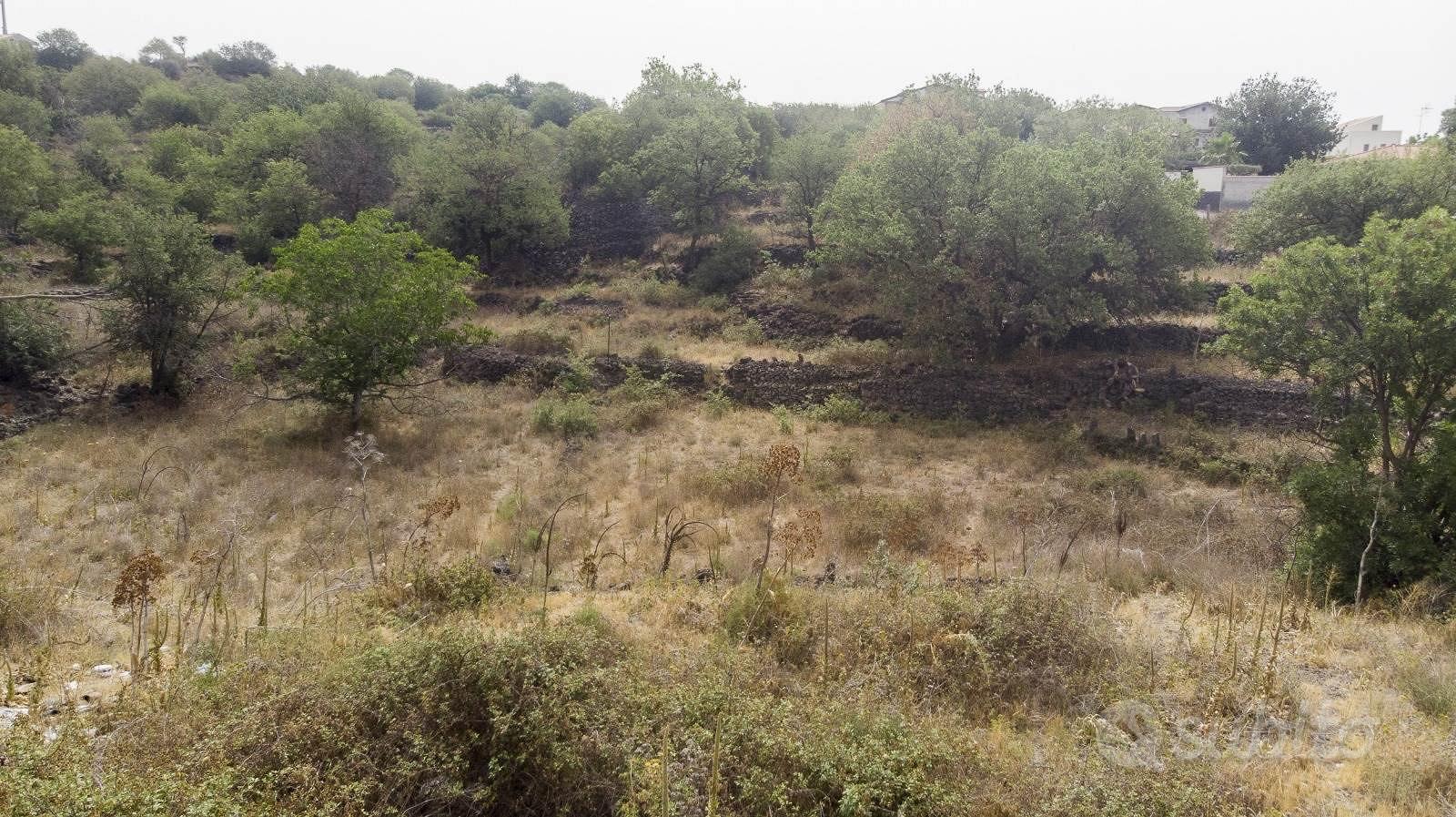 Rif.AL236| terreno agricolo belpasso - Altro
