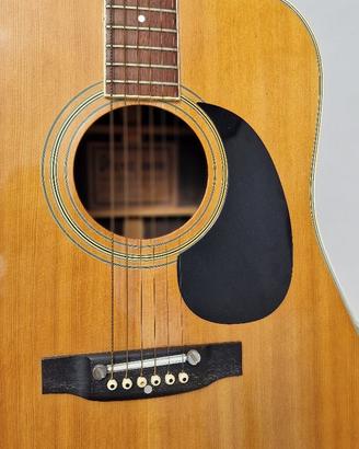Chitarra acustica Ibanez serie Concord 58099 1970