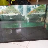 Acquario/tartarughiera in vetro, prezzo trattabile
