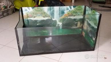 Acquario/tartarughiera in vetro, prezzo trattabile