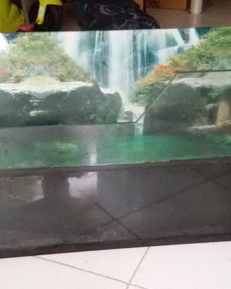 Acquario/tartarughiera in vetro, prezzo trattabile