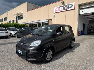 FIAT Panda 1.0 GSE S&S Hybrid Street Van 4 posti