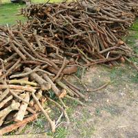 Legna da ardere fresca di lentischio (Modizzi)