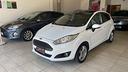 ford-fiesta-1-5-tdci-75cv-5-porte-black-white-ed