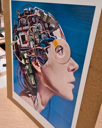 Quadro " Ghost in the shell"