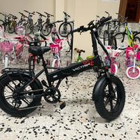 Bici elettrica Fat Bike 48V