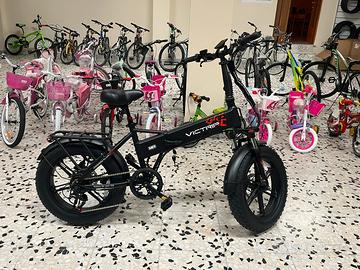 Bici elettrica Fat Bike 48V