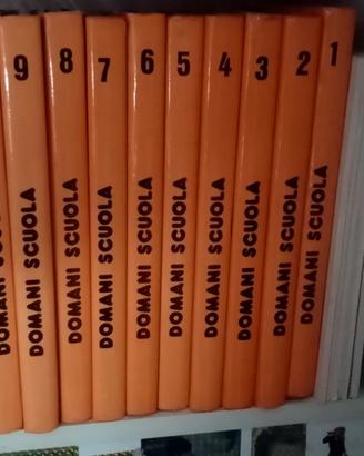enciclopedia  vintage DOMANI SCUOLA completa.
