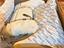 Immagine 3