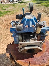 Pompa per trattamenti verderame e diserbanti