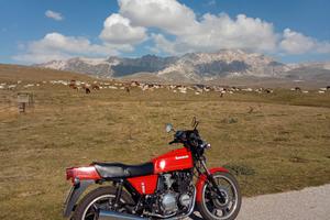 Kawasaki KZ 500B 1980