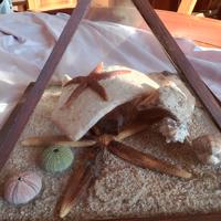 teca ricordo Sardegna