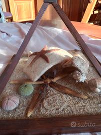 teca ricordo Sardegna