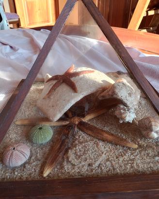 teca ricordo Sardegna