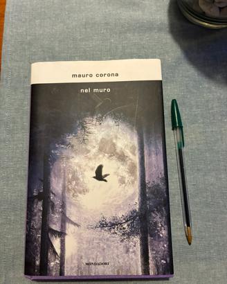 Nel muro di Mauro Corona