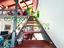 Immagine 25
