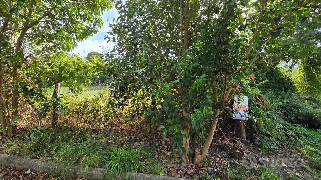Terreno di 7000 m² a Palestrina - Vista 2