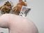 Immagine 6